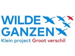 Wilde Ganzen