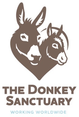 The Donkey Sanctuary