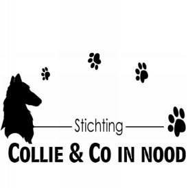 Stichting Collie en Co in Nood