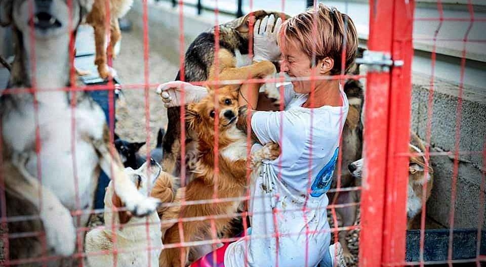 Nicoleta zorgt voor 300 honden