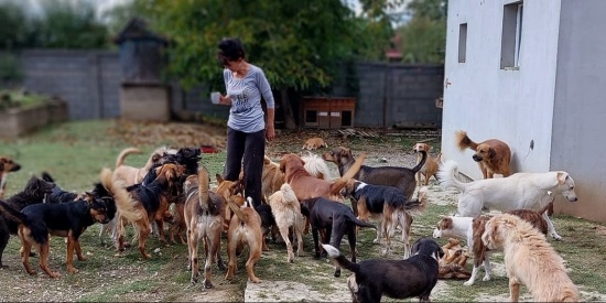 Snezana helpt juist de meest trieste dieren