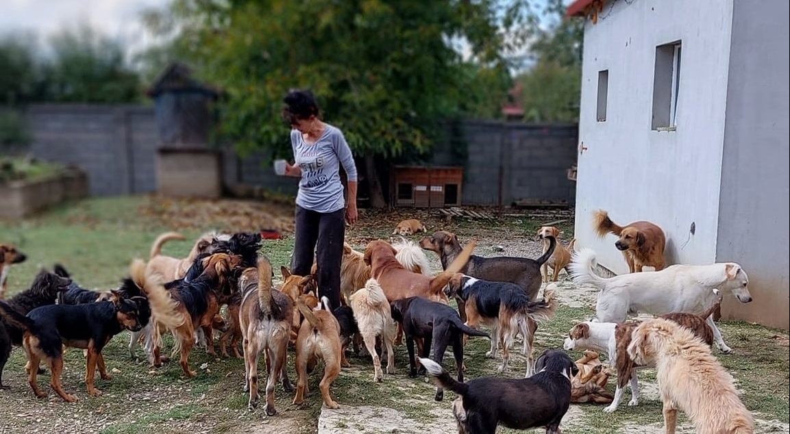 Snezana helpt juist de meest trieste dieren